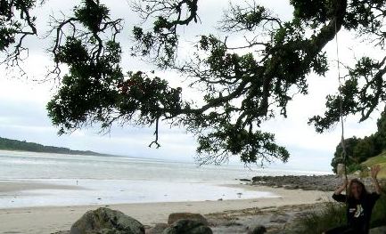 Hello and wave from Mandy Campbell, owner of recycled.co.nz